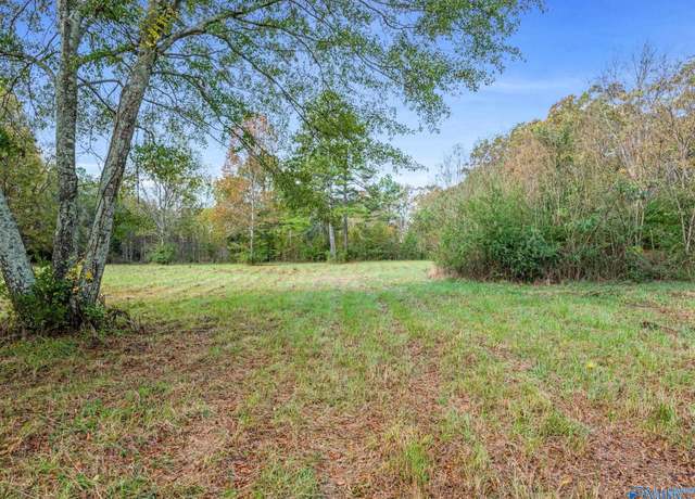 Property at Tract 2 County Road 165, Rogersville, AL 35652