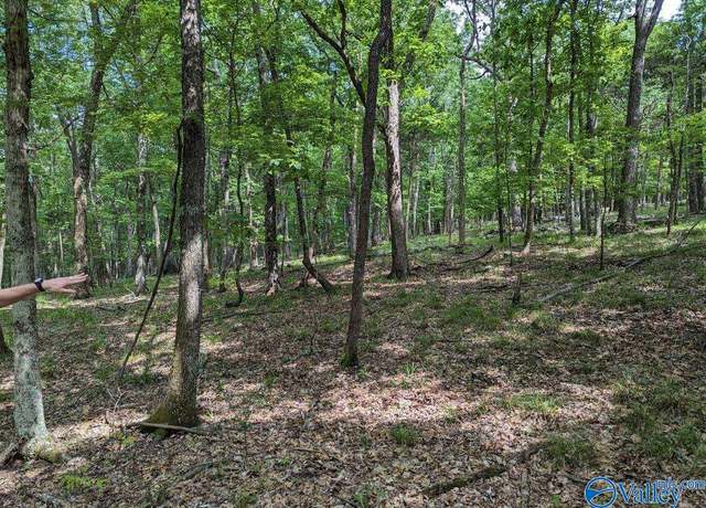 Property at 40 Acres Berry Rd, Brownsboro, AL 35741