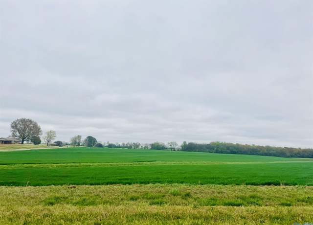 Property at 116 Acres Shaw Rd, Athens, AL 35611