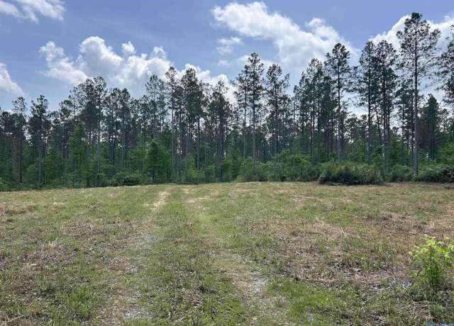 Property at 40 acres County Road 1208, Vinemont, AL 35179