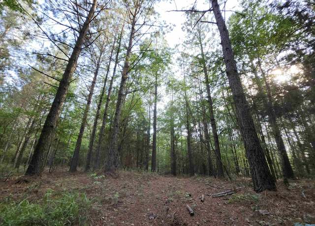 Property at 6926 County Road 29, Piedmont, AL 36272