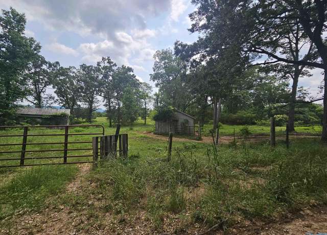 Property at 1148 County Road 865, Collinsville, AL 35961