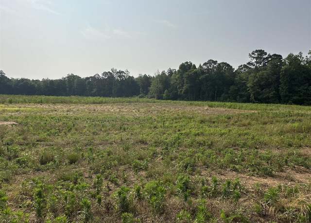 Property at Tract 29 Hays Mill Rd, Elkmont, AL 35620