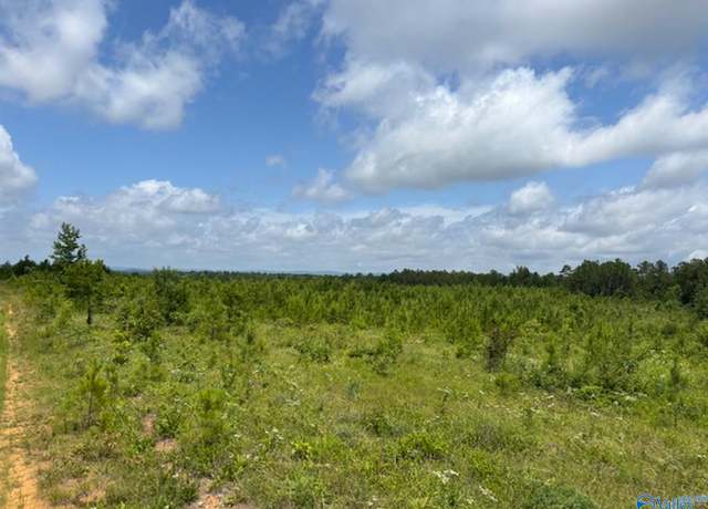 Property at Tract 1 Tom Cat Rd, Gadsden, AL 35903