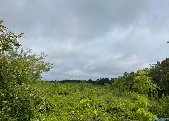 Property at Tract 2 Tom Cat Rd, Gadsden, AL 35903