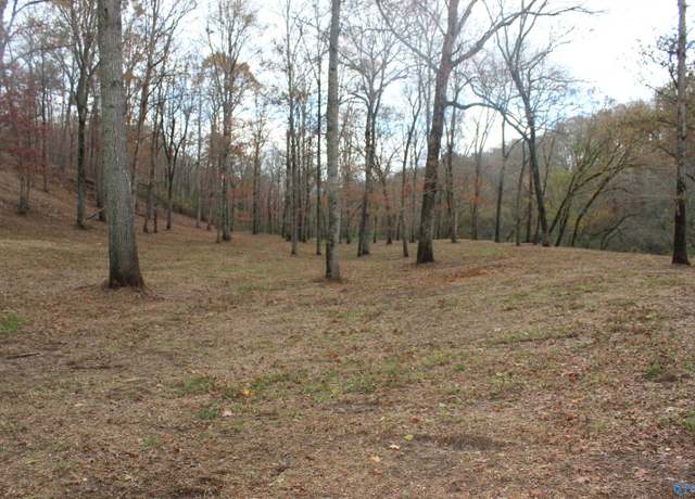 Property at 5.71 Hwy 75, Geraldine, AL 35974