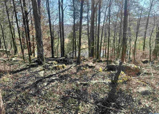 Property at 21 Acres Cathedral Caverns Hwy, Woodville, AL 35776