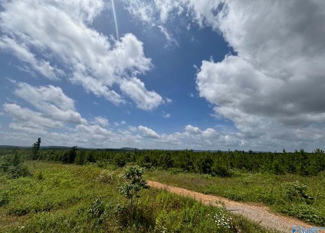 Property at Tract 5 Tom Cat Rd, Gadsden, AL 35903