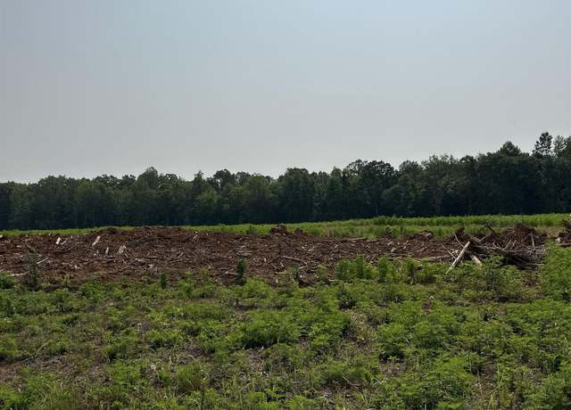 Property at Tract 38 Hays Mill Rd, Elkmont, AL 35620