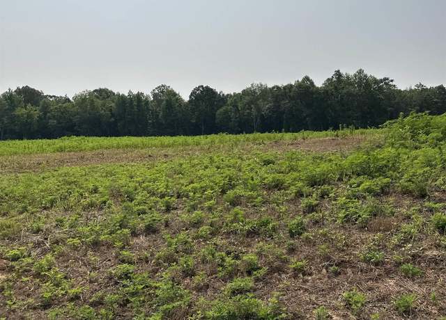 Property at Tract 39 Hays Mill Rd, Elkmont, AL 35620
