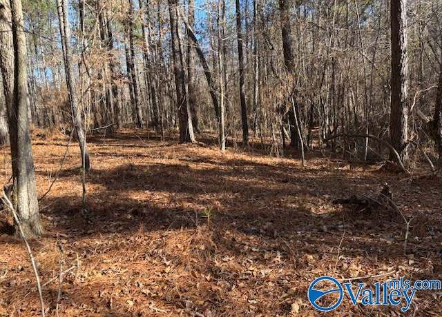 Property at Lot 33 Odonnell Rd, Ashville, AL 35953