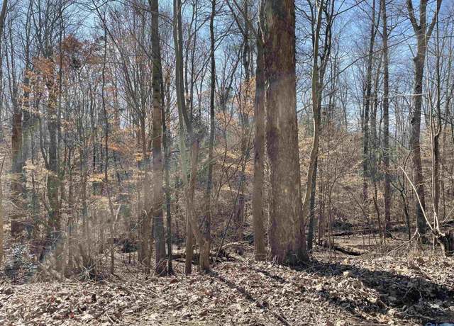 Property at A Lot 16 Cardinal Dr, Guntersville, AL 35976