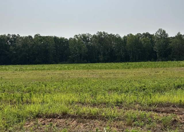 Property at Tract 41 Hays Mill Rd, Elkmont, AL 35620