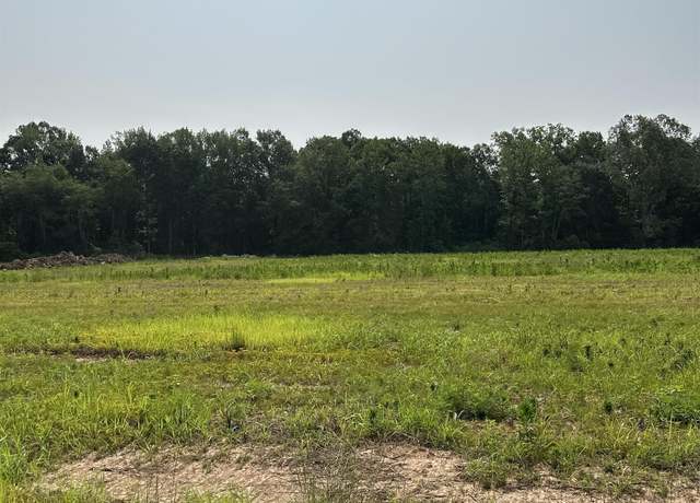 Property at Tract 42 Hays Mill Rd, Elkmont, AL 35620