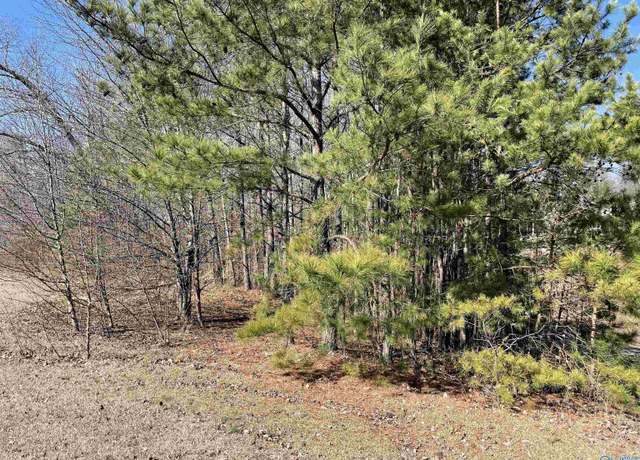 Property at B Lot 17 Cardinal Dr, Guntersville, AL 35976