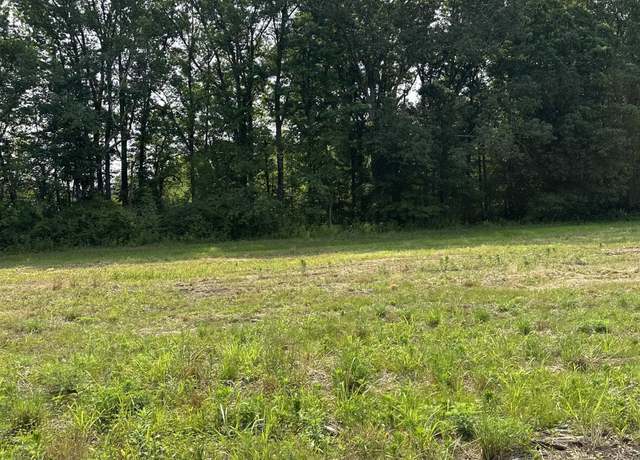 Property at Tract 44 Hays Mill Rd, Elkmont, AL 35620