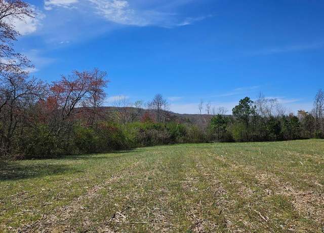 Property at 13.5 Acres County Road 687, Henagar, AL 35978