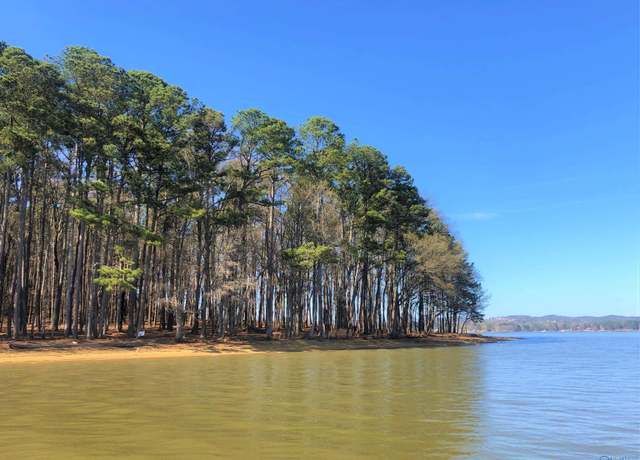 Property at Lot 5 Little River Lndg, Cedar Bluff, AL 35959