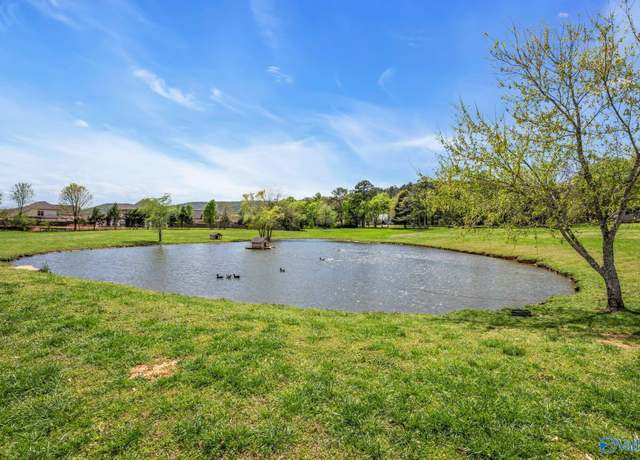 Property at 7.71 ACS Old Big Cove Rd, Owens Cross Roads, AL 35763