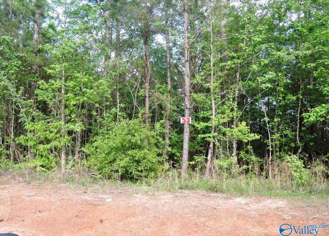Property at Lot 53 Oak Leaf Ct, Jasper, AL 35504