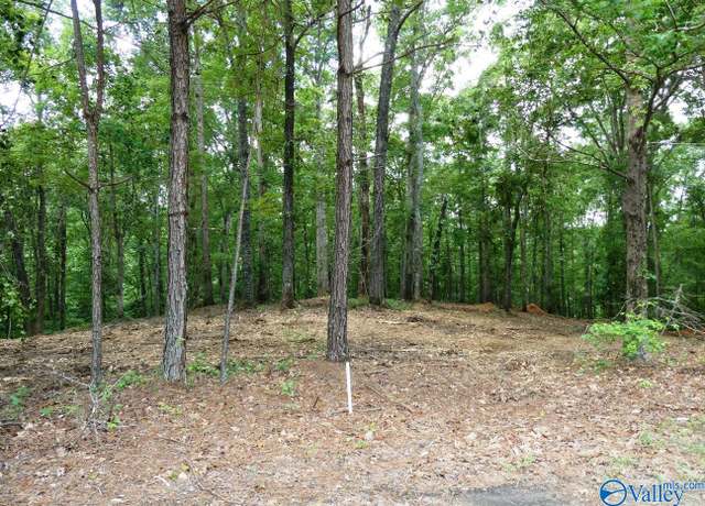 Property at Lot 77 Broken Arrow, Jasper, AL 35504