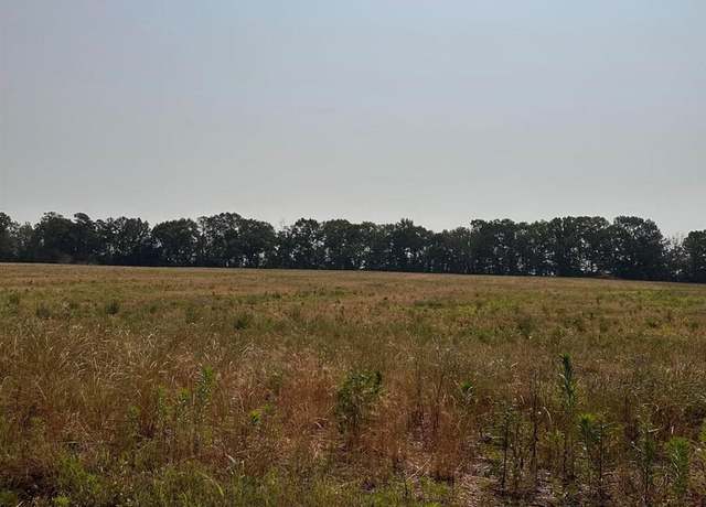 Property at Tract 59 Hays Mill Rd, Elkmont, AL 35620