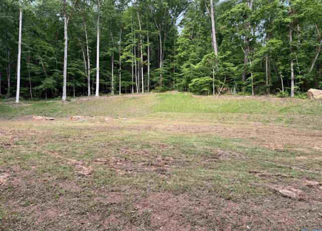 Property at LOTS 82 AND 83 Wyeth Dr, Guntersville, AL 35976