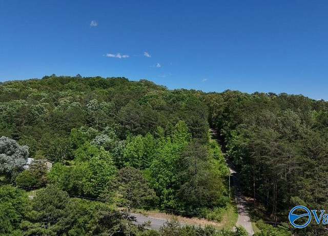 Property at 42584 US Highway 11, Valley Head, AL 35989