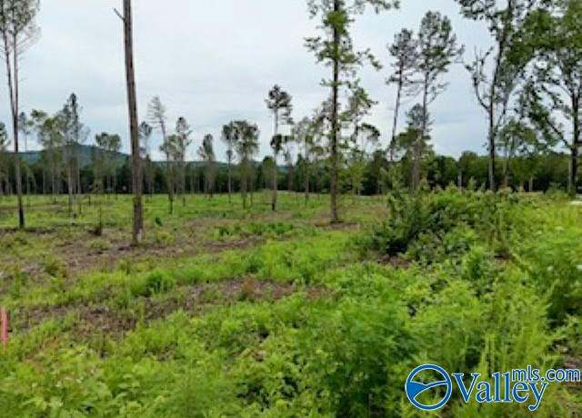 Property at Lot 18 County Road 91, Gaylesville, AL 35973