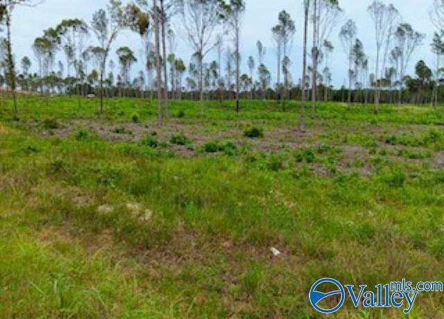 Property at Lots 20 & 21 County Road 91, Gaylesville, AL 35973