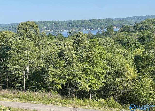 Property at 175 Buckskin Dr, Guntersville, AL 35976