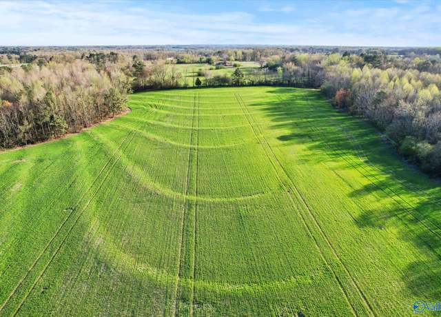Property at 30 Acres County Road 1908, Albertville, AL 35951