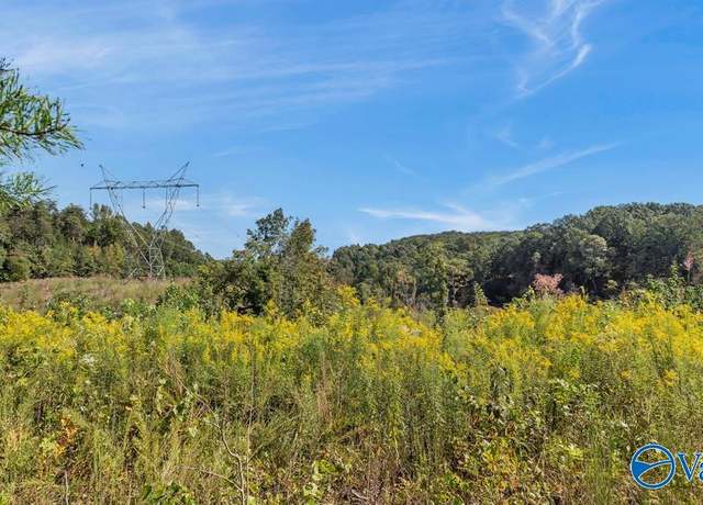 Property at 3939 County Road 284, Courtland, AL 35618