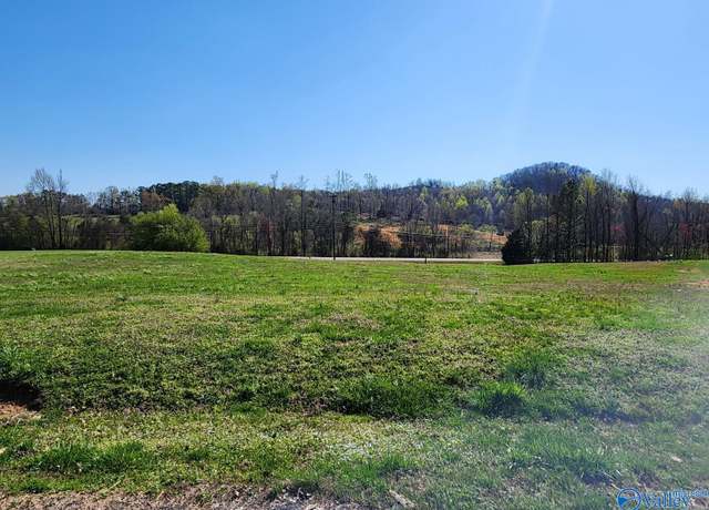 Property at Lot 10 Eliza Ln, Guntersville, AL 35976