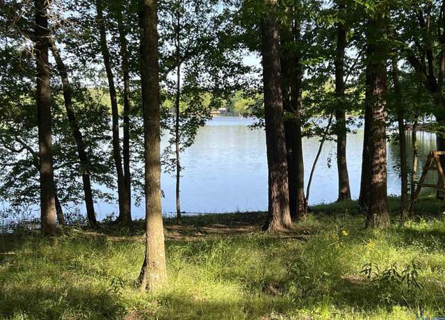 Property at LOT 9 & 10 County Road 609, Centre, AL 35960, 1 bed, 1 bath