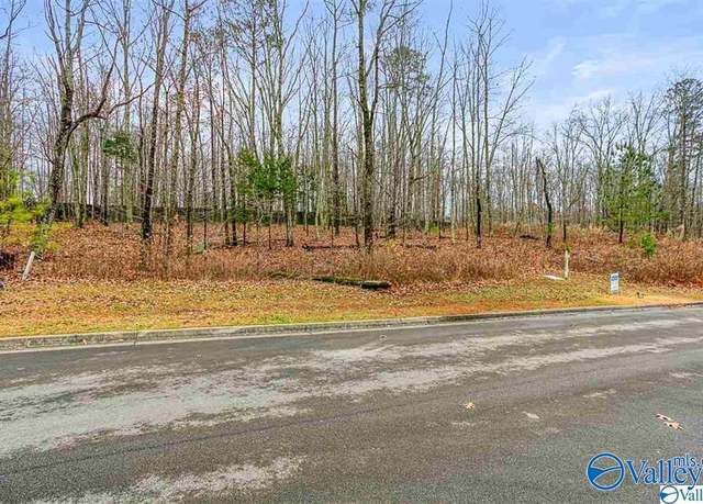 Property at 13 Winter Walk Way, Huntsville, AL 35803
