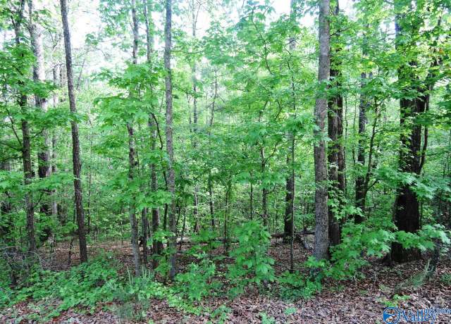 Property at Lot 4 Harbor Lights Trl, Jasper, AL 35504