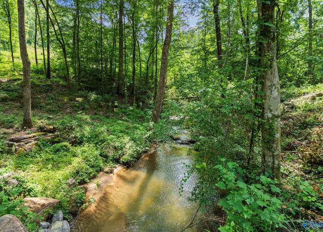 Property at Lot 10 & 11 Wyeth Dr, Guntersville, AL 35976