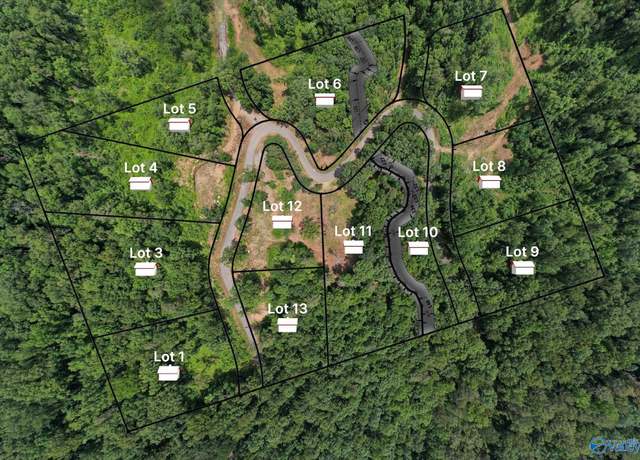 Property at Lot 13 Wyeth Dr, Guntersville, AL 35976