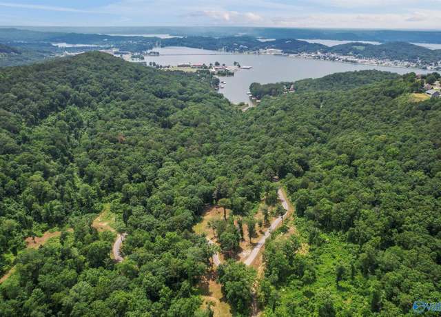 Property at 121.46 Acres Wyeth Dr, Guntersville, AL 35976