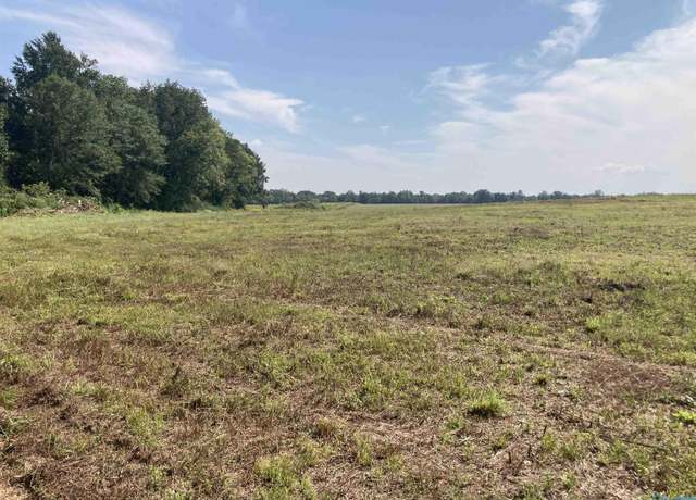 Property at Tract 16 Hays Mill Rd, Elkmont, AL 35620