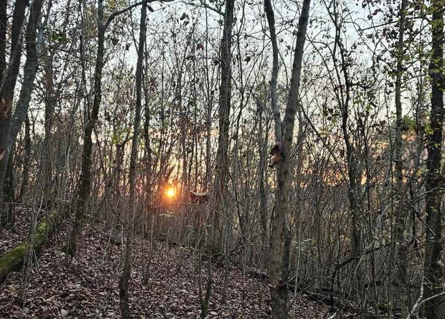 Property at 8 +/- Acres Browns Valley Rd, Guntersville, AL 35976