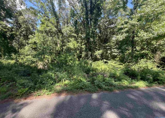 Property at 11.7 Slicklizzard Rd, Nauvoo, AL 35578