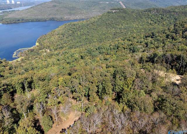 Property at Lot 1 County Road 224, Dutton, AL 35744