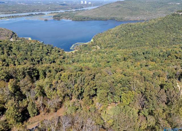 Property at Lot 3 County Road 224, Dutton, AL 35744