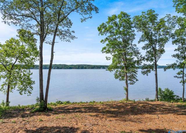 Property at Lot #64 Spyglass Loop, Cherokee, AL 35616