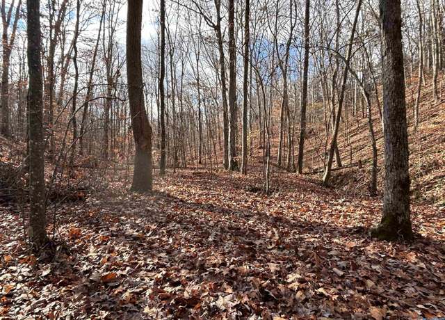 Property at 10 AC Pennywinkle Creek Ln, Cherokee, AL 35616