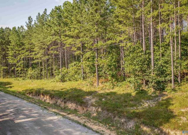 Property at 5.8 Pine Hills Way, Piedmont, AL 36272