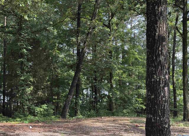 Property at lot 6 County Road 448, Centre, AL 35960