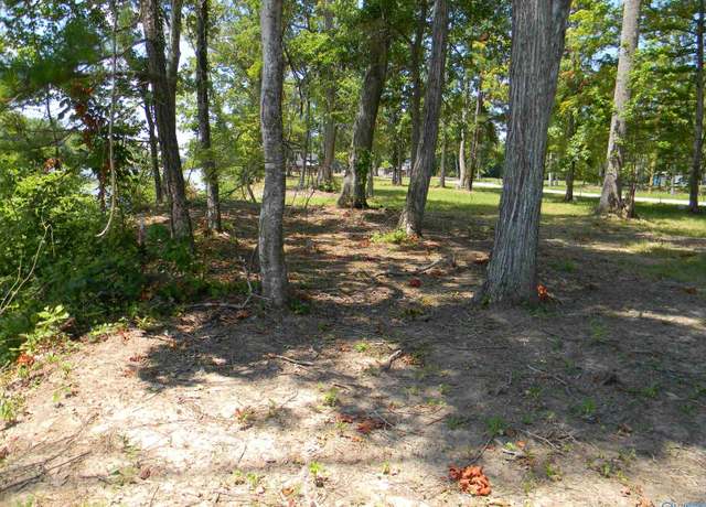 Property at Lots 37 - 38 County Road 182, Cedar Bluff, AL 35959